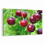 Olla 15303Y Gıda Görseli Yatay Kanvas Tablo (Ölçü: 70X50)