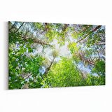 Olla 10619Y Ağaç Görseli Yatay Kanvas Tablo (Ölçü: 150X100)