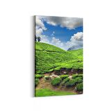 Olla 14545D Doğa / Manzara Görseli Dikey Kanvas Tablo (Ölçü: 70X105)