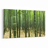 Olla 14182Y Doğa / Manzara Görseli Yatay Kanvas Tablo (Ölçü: 150X100)