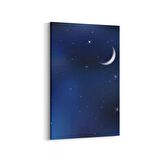 Olla 14820D Gece Gökyüzü Görseli Dikey Kanvas Tablo (Ölçü: 20X30)