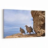 Olla 12635Y Hayvanlar Alemi Görseli Yatay Kanvas Tablo (Ölçü: 120X80)