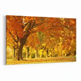 Olla 13714Y Doğa / Manzara Görseli Yatay Kanvas Tablo (Ölçü: 90X60)