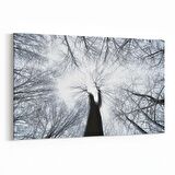 Olla 11046Y Ağaç Görseli Yatay Kanvas Tablo (Ölçü: 150X100)