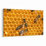 Olla 12620Y Hayvanlar Alemi Görseli Yatay Kanvas Tablo (Ölçü: 120X80)