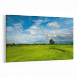 Olla 13529Y Doğa / Manzara Görseli Yatay Kanvas Tablo (Ölçü: 90X60)