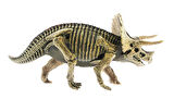 Kız Erkek Çocuk Oyuncak Sert Plastik Dinozor Figürü Triceratops Kız Erkek Çocuk Oyuncak Eğitici Eğle