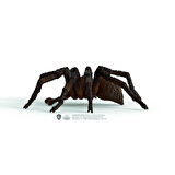 Kız Erkek Çocuk Oyuncak 13987 Schleich - Aragog - Serisi +3 yaş Kız Erkek Çocuk Oyuncak Eğitici Eğle