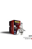Nıken H19 60w/55w Halojen Ampul Pu43t-3 12v