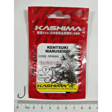 Kashıma OP00042 Kentsukı Maruseıgo Japon İğne