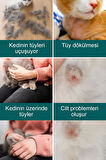 DostTarak-Tüy Açıcı Kedi Köpek Tarağı Tek Taraflı Metal Dişli Evcil Hayvan Bakım Fırçası
