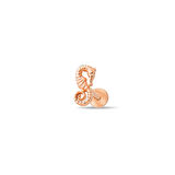 Altın Deniz Atı Tragus Piercing