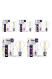 7W E27 Filament LED Ampul - Dim Edilebilir – DF60  5Lİ