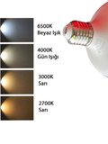 (3 Adet) 20W (120W) 6500K (Beyaz Işık) E27 Duylu (Kalın Duy) Glop Led Ampul