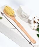 Banyo Sırt Fırçası Doğal Agave Kaktüs Vegan Duş Fırçası Oval Özel Taşıma Çantasında