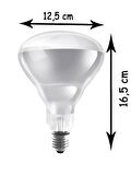 Osram Ledvance 250W Şeffaf Infrared Isıtıcılı E27 Duylu Halojen Ampul (10 Adet)
