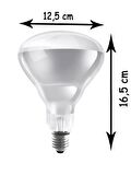 Osram Ledvance 250W Şeffaf Infrared Isıtıcılı E27 Duylu Halojen Ampul (4 Adet)