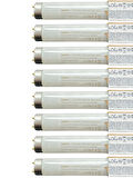 Osram (8 Adet) 18W 4000K (Günışığı) G13 Duylu Floresan Ampul