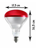 (8 Adet) Ledvance 250W Kızılötesi (infrared) Isıtıcılı Hayvan Isıtma ve Fizik Tedavi Lambası (Kırmızı Işık) E27 (Kalın Duy)