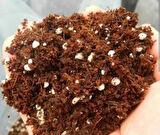 Torf Toprağı ( Perlit Ve kırmızı toprak karışımlı) 1 kg 