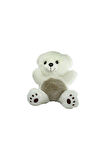 Kız Çocuk Oyuncak PB30453-22S1 Peluş Asorti Ayı ve Panda 23cm Erkek Çocuk Oyuncak Eğitici Oyuncaklar