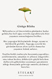 Ginkgo Biloba Yaprak Broş