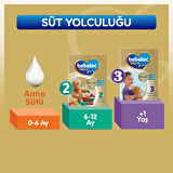 Bebelac Gold 800GR No:2 Devam Sütü (6-9 Ay) (3 Lü Set)