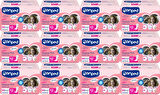 Canped Mesane Pedi Ultra M - Medium - Orta 144 Adet (12PK*12)