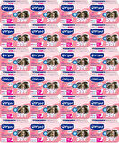 Canped Mesane Pedi Ultra M - Medium - Orta 288 Adet (24PK*12)