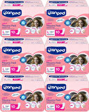 Canped Mesane Pedi Ultra L - Large - Büyük - Yoğun 60 Adet (6PK*10)
