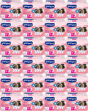 Canped Mesane Pedi Ultra L - Large - Büyük - Yoğun 240 Adet (24PK*10)