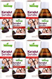 Hünnap Karadut Şurubu 50ML (4 Lü Set)
