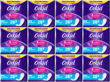 Orkid Günlük Ped Günlük Koruma Normal 336 Adet Ekonomik Paket (Tekli Paketlerde) (12PK*28)