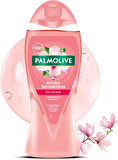 Palmolive Duş Jeli 750ML Aroma Sensations/Aroma Duyguları (18 Li Set)