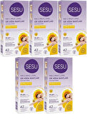 Sesu Sir Ağda Bandı 42 Li Pk Normal Ciltler (5 Li Set)