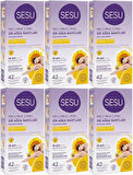 Sesu Sir Ağda Bandı 42 Li Pk Normal Ciltler (6 Lı Set)