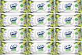 Solo Islak Havlu Mendil 50 Yaprak Limon & Biberiye (12 Li Set) (4PK*3) 600 Yaprak