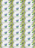 Solo Islak Havlu Mendil 50 Yaprak Limon & Biberiye (24 Lü Set) (8PK*3) 1200 Yaprak