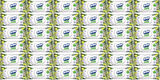 Solo Islak Havlu Mendil 50 Yaprak Limon & Biberiye (36 Lı Set) (12PK*3) 1800 Yaprak