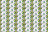 Solo Islak Havlu Mendil 50 Yaprak Limon & Biberiye (48 Li Set) (16PK*3) 2400 Yaprak