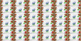 Solo Islak Havlu Mendil 50 Yaprak Elma Sirkesi & Karbonat (36 Lı Set) (12PK*3) 1800 Yaprak