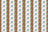Solo Islak Havlu Mendil 50 Yaprak Elma Sirkesi & Karbonat (48 Li Set) (16PK*3) 2400 Yaprak