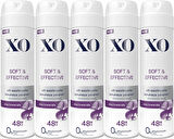 XO Deodorant 150ML Women-Kadın Soft & Effective (5 Li Set)