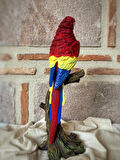 Papağan Macaw Biblo Dekor