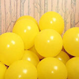 PASTEL BALON SARI 10 ADET