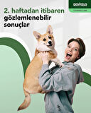 Veteriner Serisi Köpekler Için Duygu Durum Dengeleyici Stres Yönetimi Sakinleştirici Takviye(30X2GR)