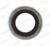 Payen Pb852 Yağ Bosaltma Tapa Contası Clıo I-R21-Master I-P106-P206-P306-P407-C2-C3-C4-C5-Saxo-Xsara-Zx