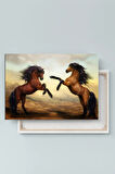 Şaha Kalkmış Çift Asil At Hayvan Sanatsal Dekoratif Kanvas Tablo (8 Farklı Ölçü)