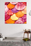 Renli Deniz Kabukları Kanvas Tablo