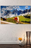 Orman Doğa Atlar Tabiat Dekoratif Kanvas Tablo  7 Farklı Ölçü
